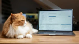 Pet cat lying in front of laptop – keywords vs entities for AI search